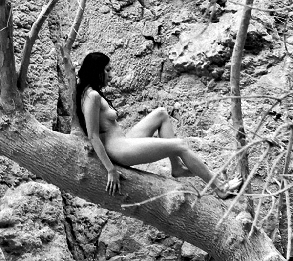 Lela Loren Naked Photos
