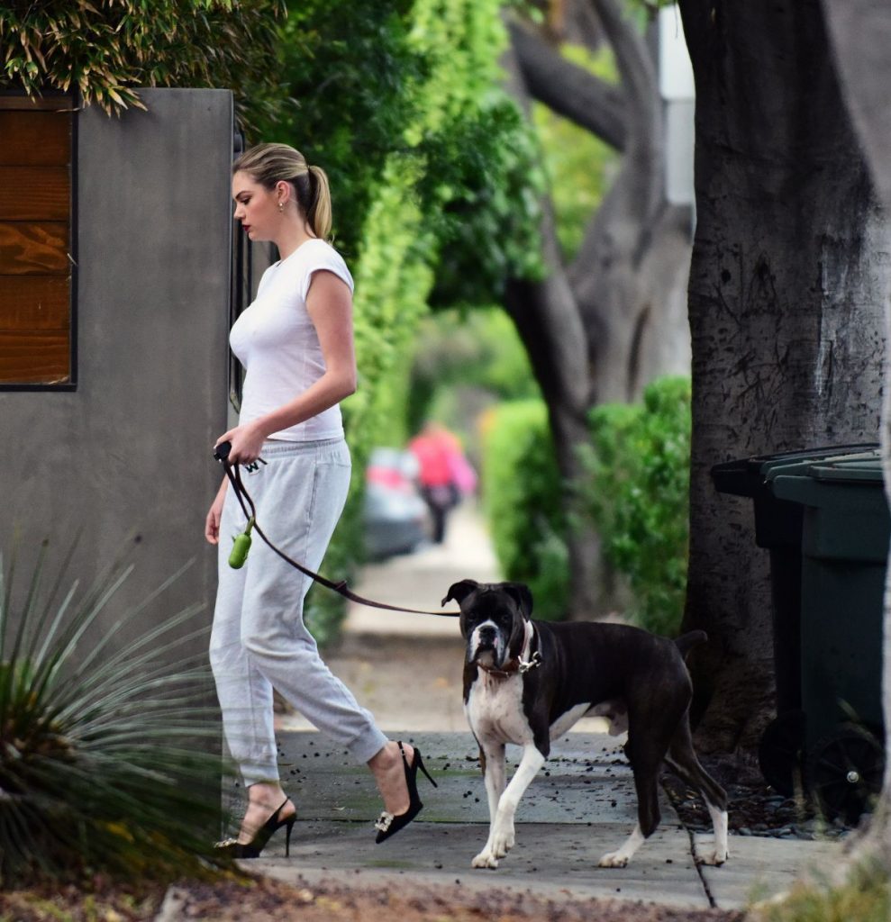 Kate Upton’s Pokies And Mean-Looking Dog